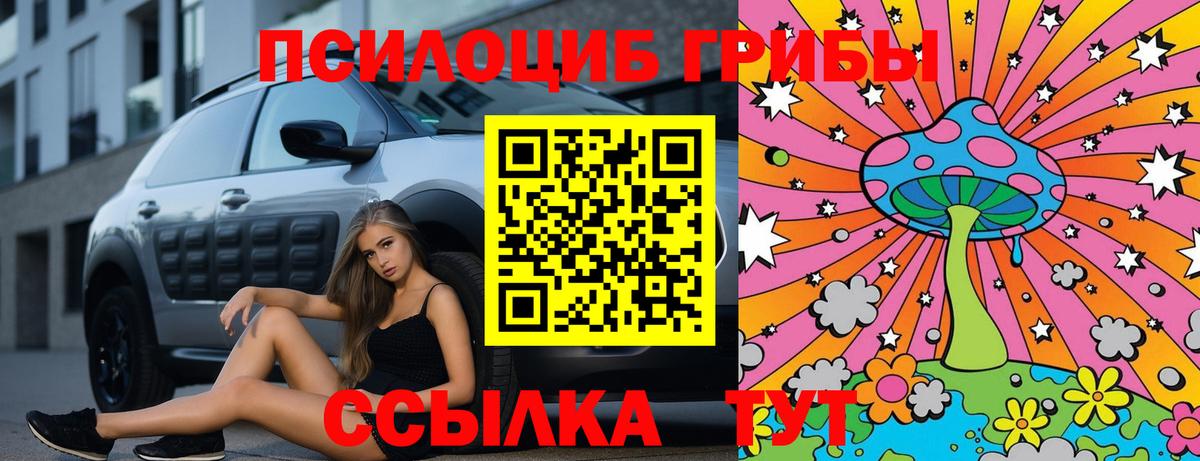 Галлюциногенные грибы Psilocybe Краснознаменск