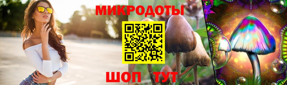Краснознаменск  Галлюциногенные грибы GOLDEN TEACHER  Вход с VPN 